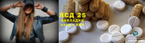 ГАЛЛЮЦИНОГЕННЫЕ ГРИБЫ Арсеньев