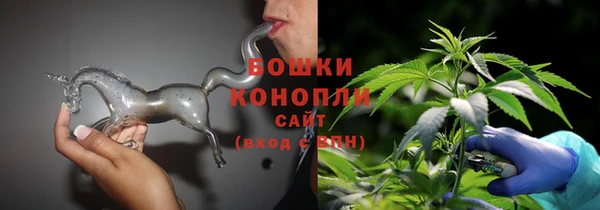 ГАЛЛЮЦИНОГЕННЫЕ ГРИБЫ Арсеньев