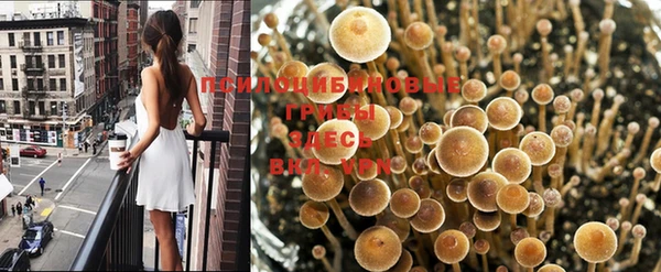 скорость Армянск