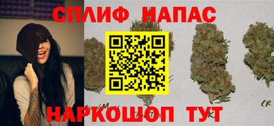 прущие грибы Заводоуковск