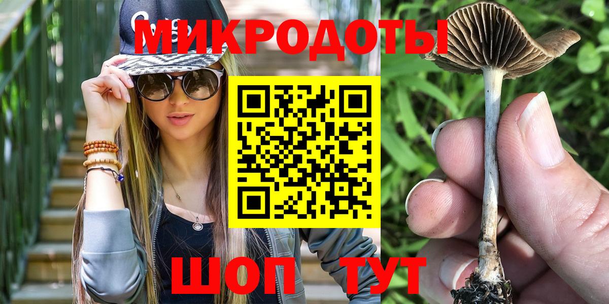 Галлюциногенные грибы Cubensis  Вход с VPN  Зима 